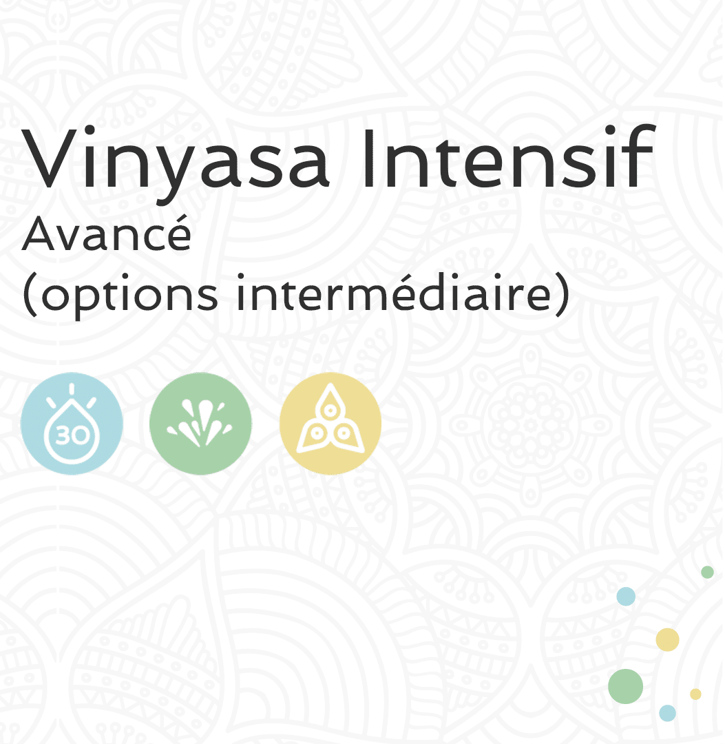 Vinyasa Intense- Renforcement