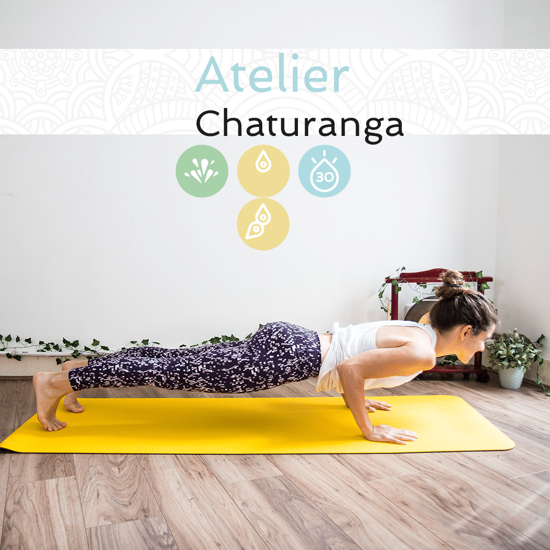 Atelier Chaturanga Dandasana