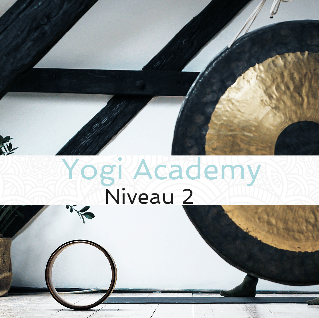 Yogi Academy - Niveau 2