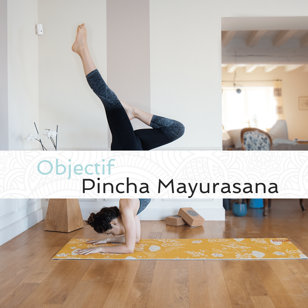 Objectif Pincha Mayurasana