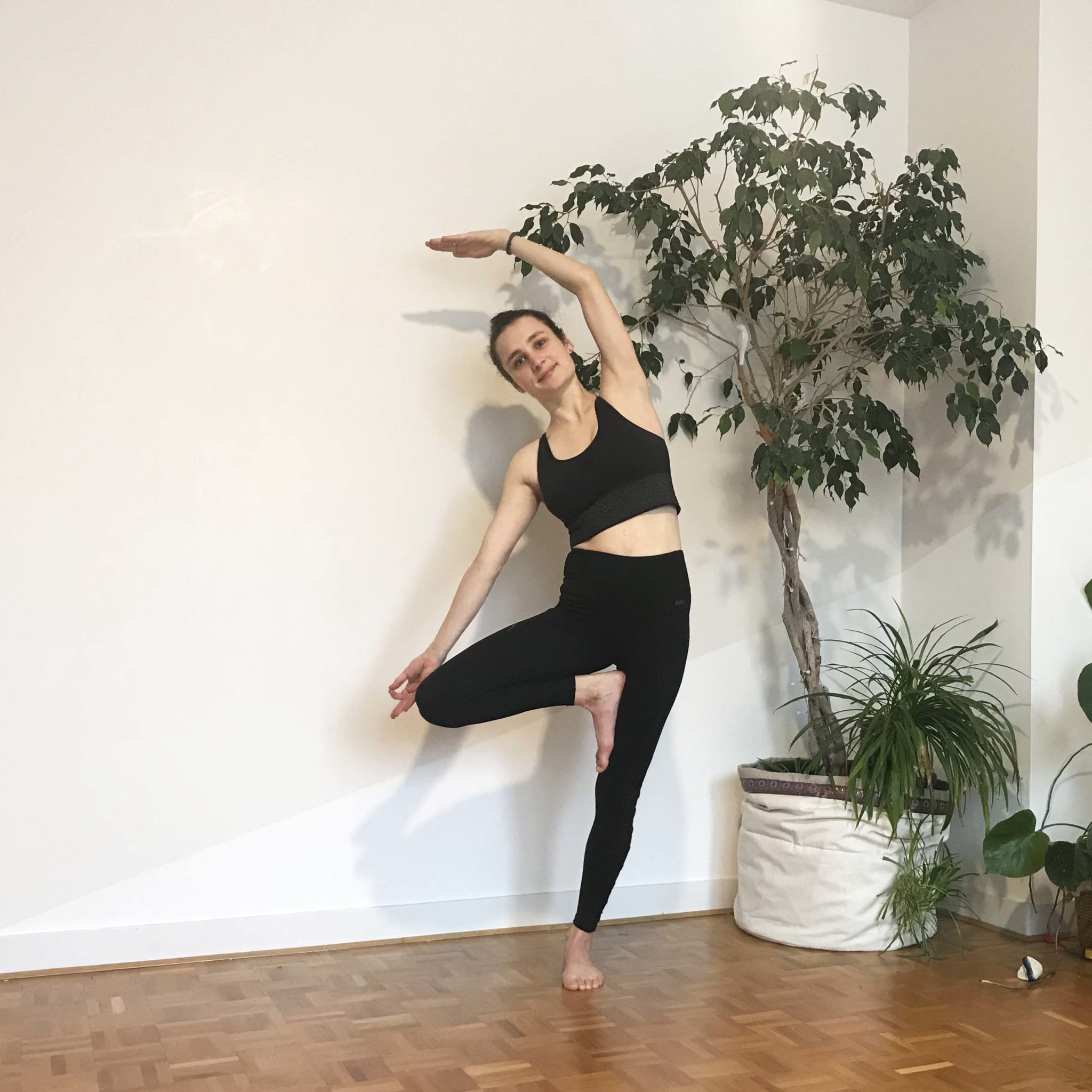 Autour de la posture de l’arbre