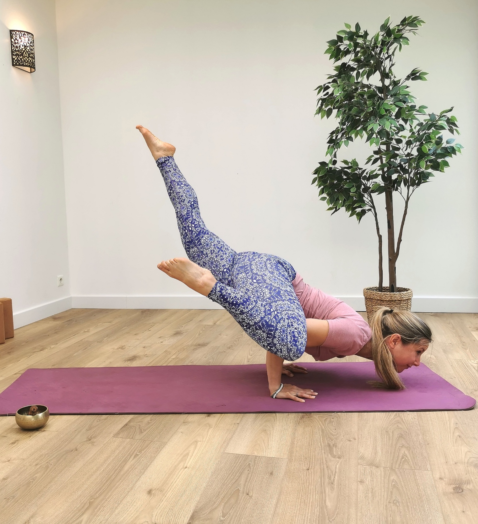 Équilibres sur les mains et inversions