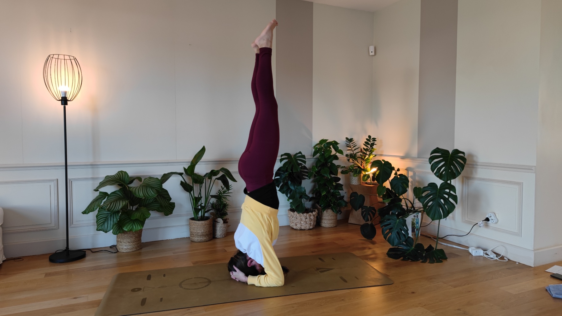 Mercredi yoga saison 10 - Spéciale Equilibre sur la tête