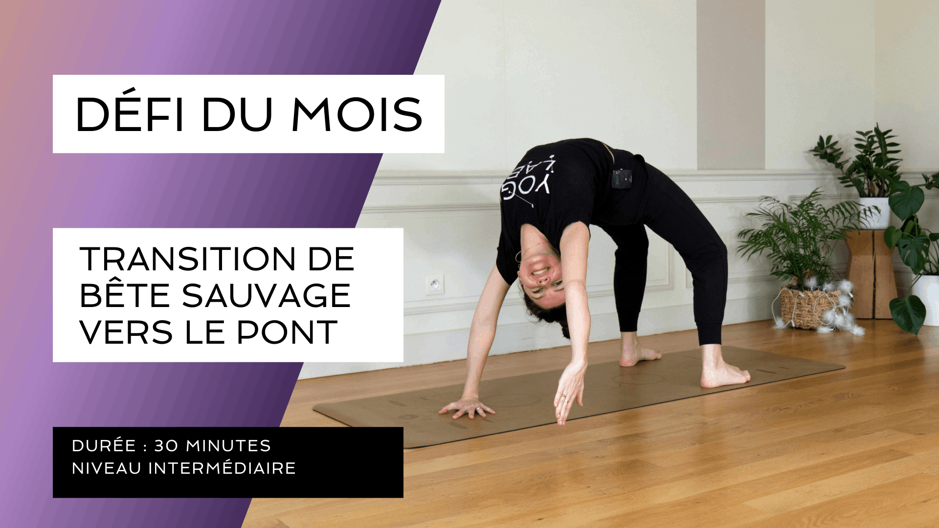 Défi du mois #3 - De la bête sauvage vers le pont